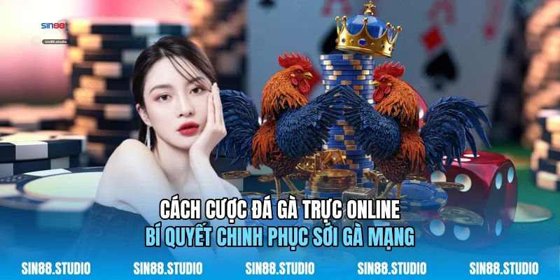 Cách Cược Đá Gà Trực Online - Chinh Phục Sới Gà Mạng 1 Cách Cược Đá Gà Trực Online